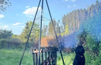 HAUS AM SEE - Natur Pur - Foto 53