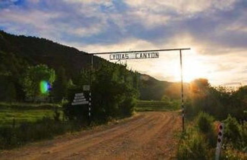 Our Little Patch of Heaven Cottage East Zion - Photo 15