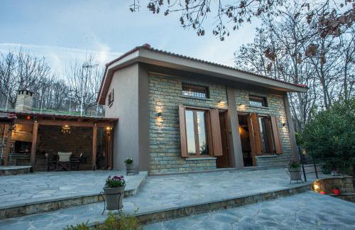 Acorn's Houses, Gray and Green Acorn - Foto 15