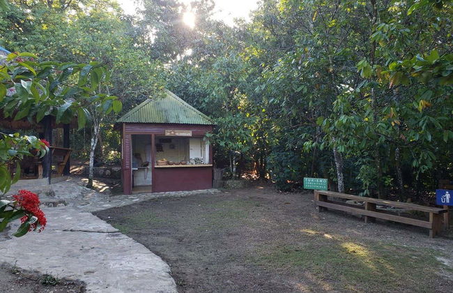 Puerto Plata Cacao Tour - Photo 3