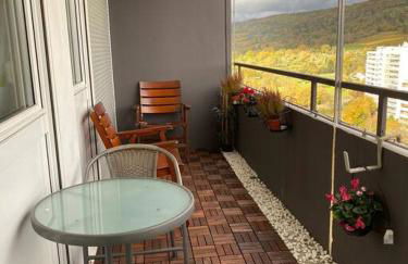 Stylish flat close to Basel with a stunning view - Foto 11