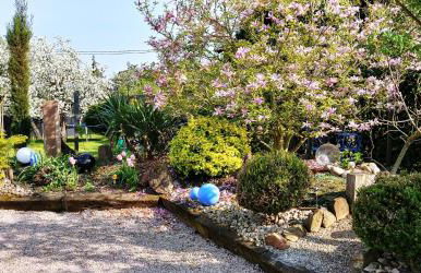 Gîte au centre de l'alsace - Foto 6