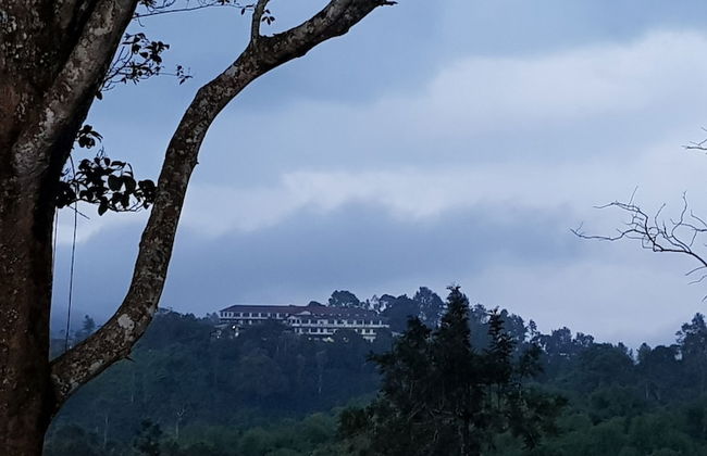 Standard Double Room-wayanad - Foto 9