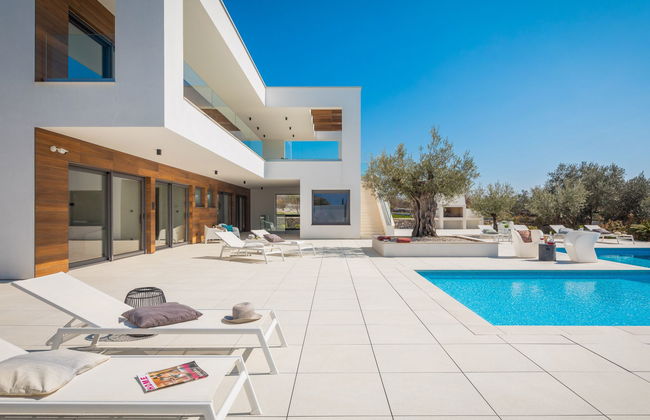 Old Olive VIII - Foto 41