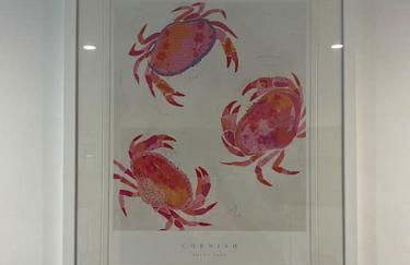 Contemporary 3-Bedroom Home with Stunning Views - Foto 45