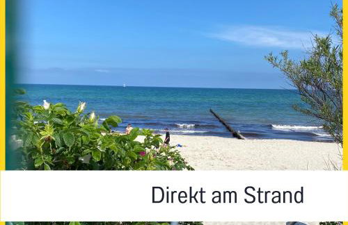 2 Zimmer App Dünengarten Lieblingsplatz Wg11 - Photo 1