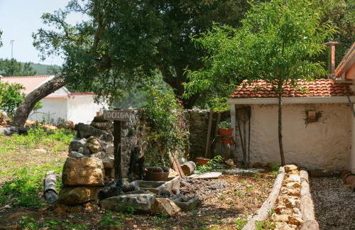 Pátio Serrano - Foto 53