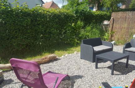 Spatzenhecke - Foto 12