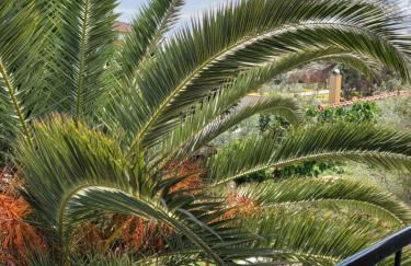 Villa MARGIANI - Foto 37