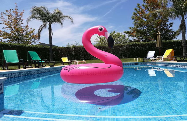 Nave Redonda do Cerro - Photo 15