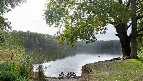 Ferienhäuser im Sternenpark am See - Photo 4