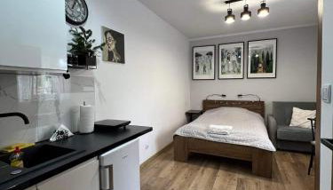 Kameralne Studio w centrum Częstochowy - Foto 3, pet friendly