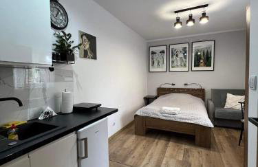 Kameralne Studio w centrum Częstochowy - Photo 3