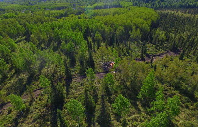 Bella Haven Estates - Foto 23