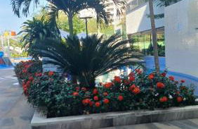 Flat Aconchegante - Park Veredas 312 - Foto 15