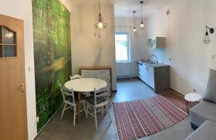 Apartamenty Stacja - Foto 21