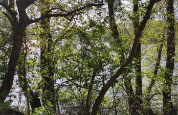 Modernes Wohnen am See - Foto 22