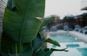 Capital Luxury Suites - Foto 19