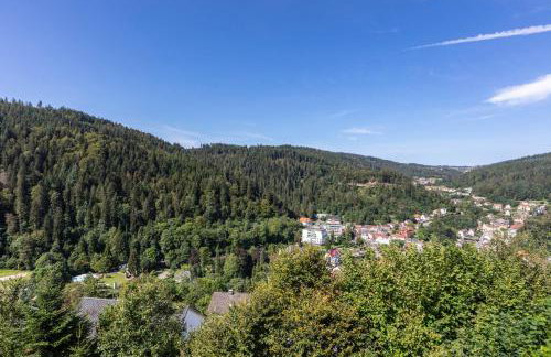 Triberg Blick - Foto 24