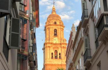 La Tierra Sur apartment Malaga Center - Photo 64