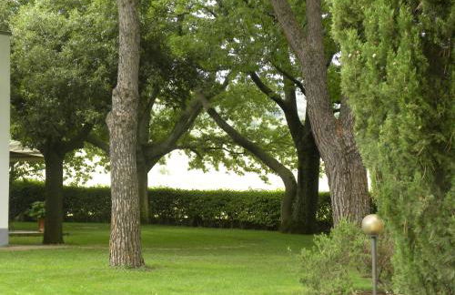 Ghiaccio Bosco - Foto 77