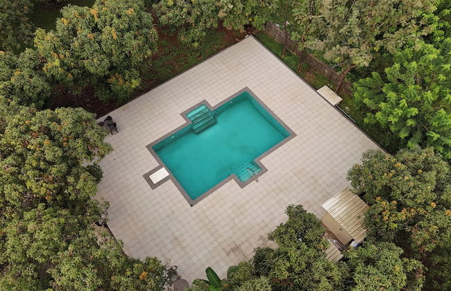 Tiki Farms - Foto 32