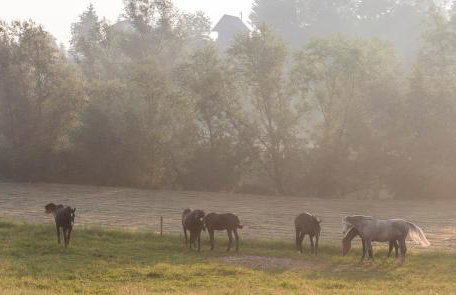 Holiday Home Ille - Foto 56