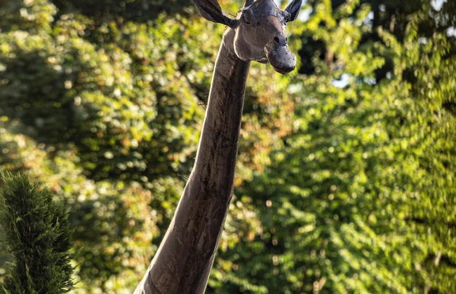 Glenmorangie House - Foto 9