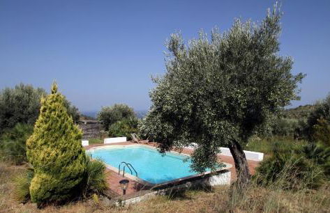 La Gabbianella E Il Gatto - Foto 1