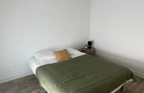 Appartement Cosy et chaleureux proche des grandes entreprises Toulousaine - Photo 11
