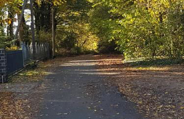 Ferienwohnungen am Krossinsee - Photo 14