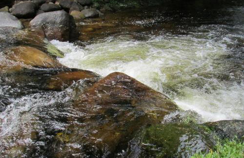 Refúgio dos Valdenses - Photo 24