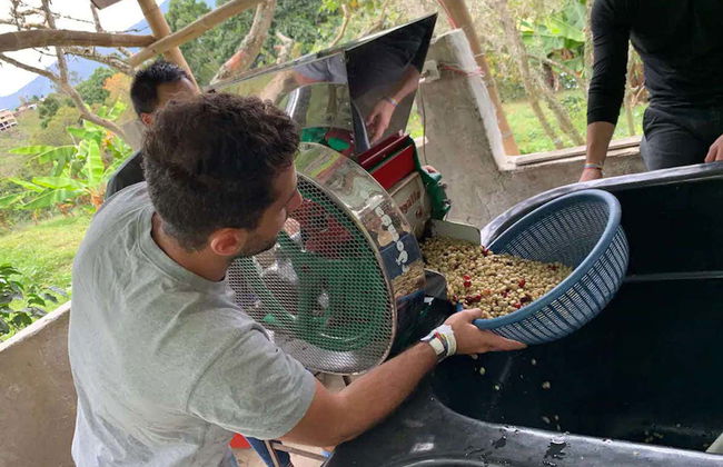 Bogotá Coffee Farm Trip - Photo 6