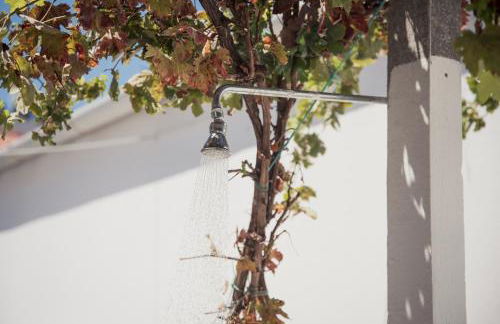 Quintal do Jacob - Foto 14