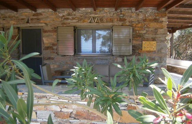 Elea Koundouros - Foto 16