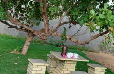 Recanto Celestino 3 - Foto 31