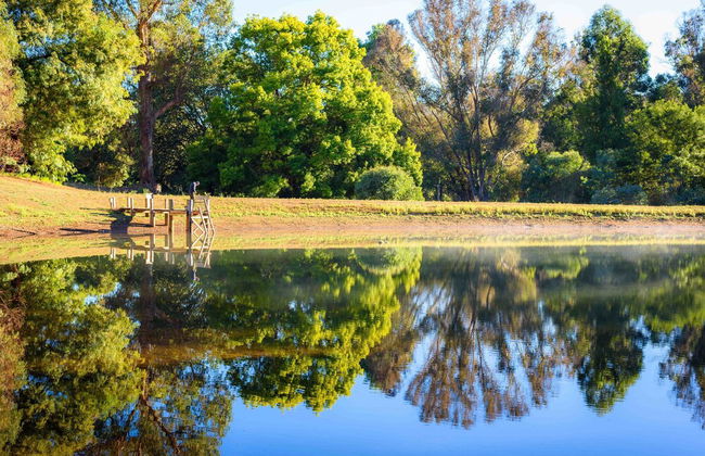 Murphy's Cottage - Foto 21