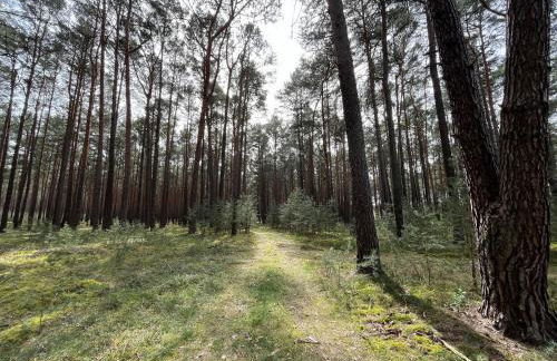 Ferienhaus Fjola - Photo 29