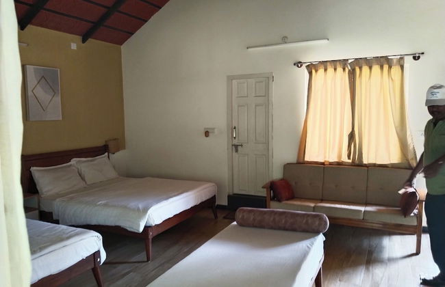 Nature Valley Resort - Foto 12