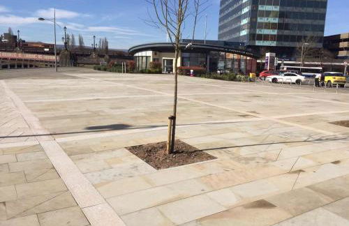 Raphael Heights - Foto 40