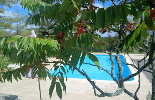 Les Gîtes de La Moure Basse - Foto 15