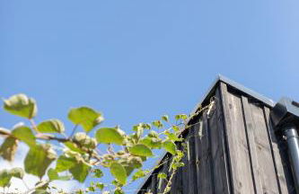 Eco-lodges Lacanau Moutchic Inn - 4 pers - Foto 38