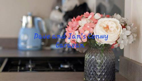 Dave and Jan's Conwy Caravan-Bryn Morfa - Foto 4