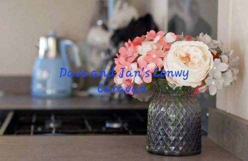 Dave and Jan's Conwy Caravan-Bryn Morfa - Foto 4