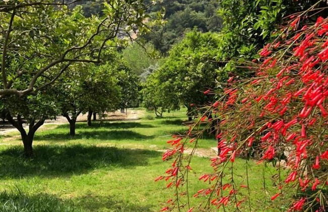 Villa Bilge - Foto 38