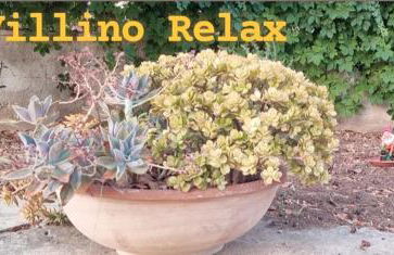 Villino Relax - Foto 28