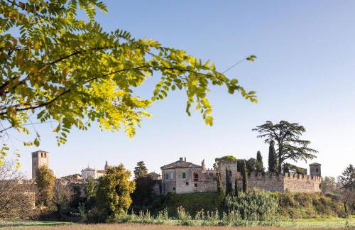 Nuova Scardua Agr Cucina Tipica - Foto 21