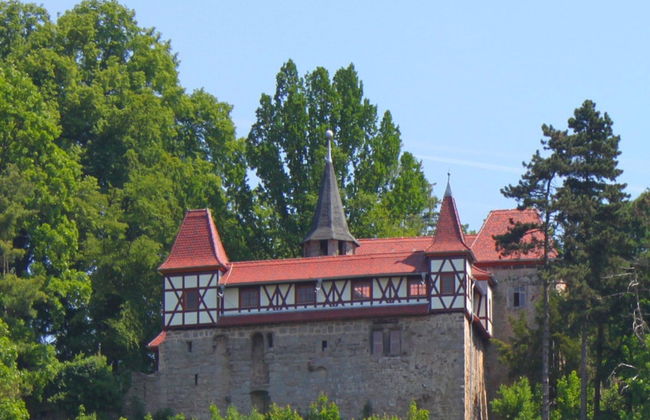Ferienhaus, Jagdshof - Foto 15