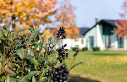 Seepark Auenhain - Foto 9