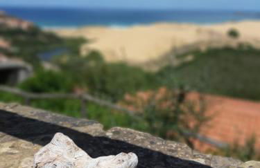 Domo Allegru - Foto 6